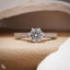 Round Cut Pavé Engagement Ring with Sparkling Band